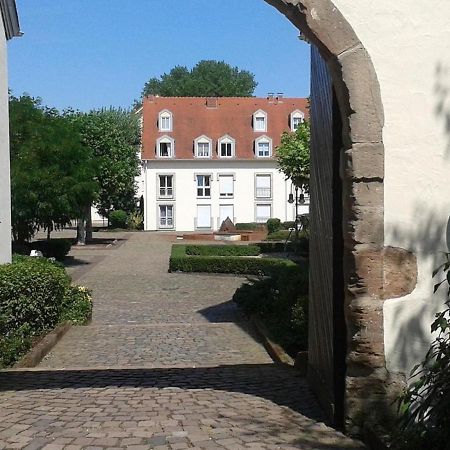 Amf Ferienwohnungen Historischer Soutyhof 자를루이 외부 사진